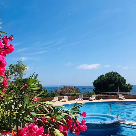 Superbe T2 Vue Mer - Piscine & Plage A 100M Ajaccio  Eksteriør bilde