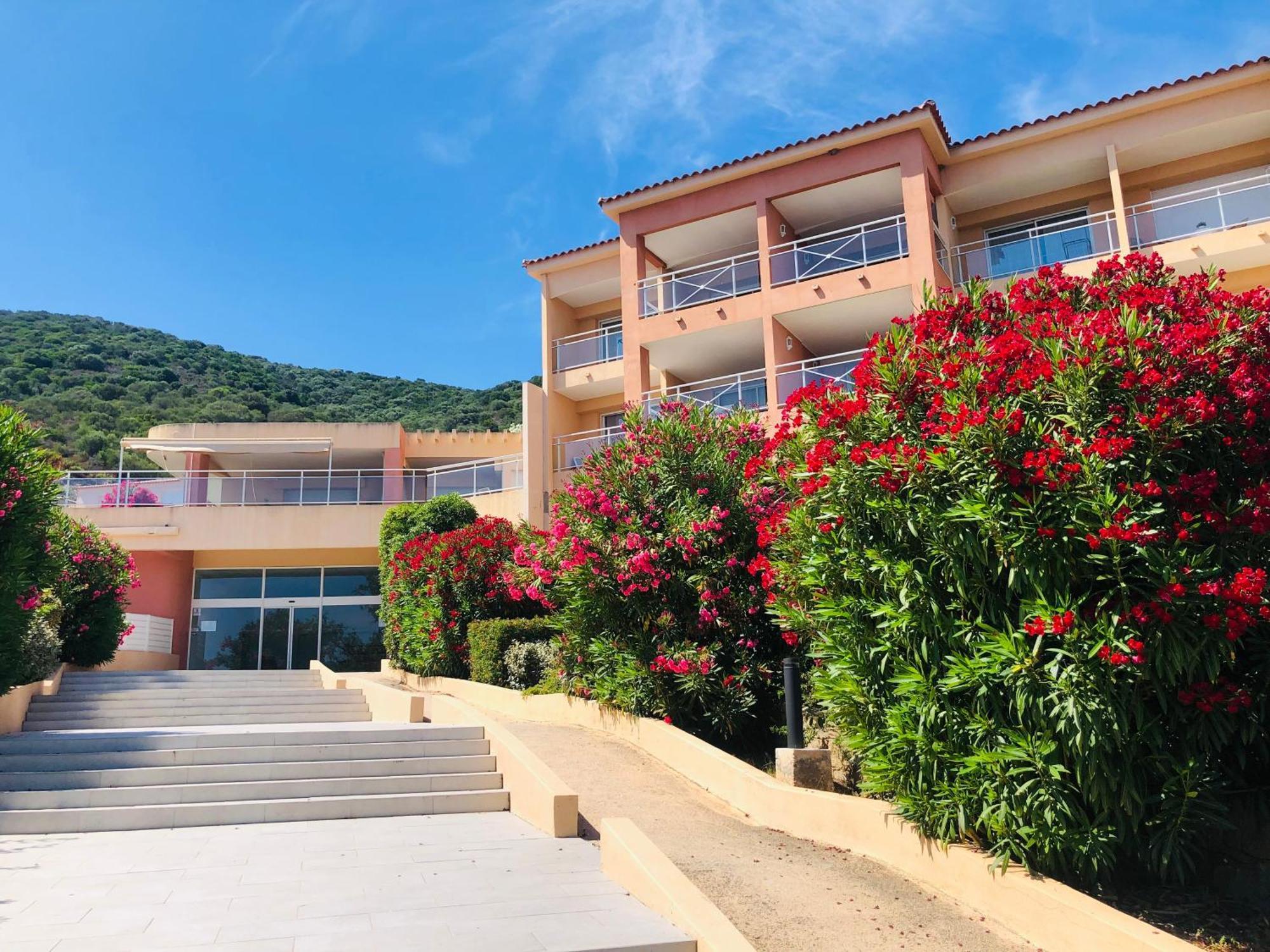 Superbe T2 Vue Mer - Piscine & Plage A 100M Ajaccio  Eksteriør bilde